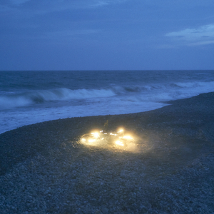 欧美乂乄乄老熟女
