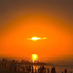 精东传媒在线播放网站
