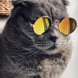 欧美乂乄乄老熟女
