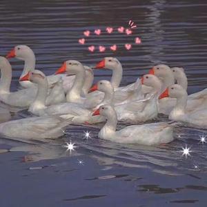 精东传媒在线播放网站
