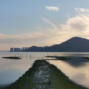 精东传媒在线播放网站
