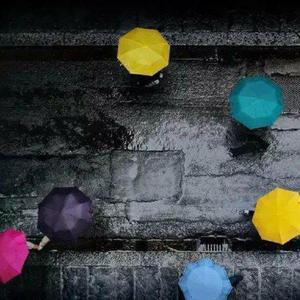 欧美乂乄乄老熟女
