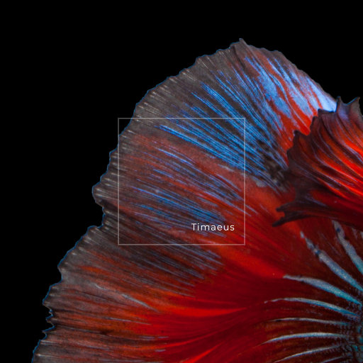 欧美乂乄乄老熟女
